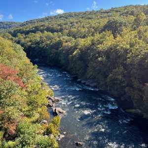 Cucumber Run in Ohiopyle